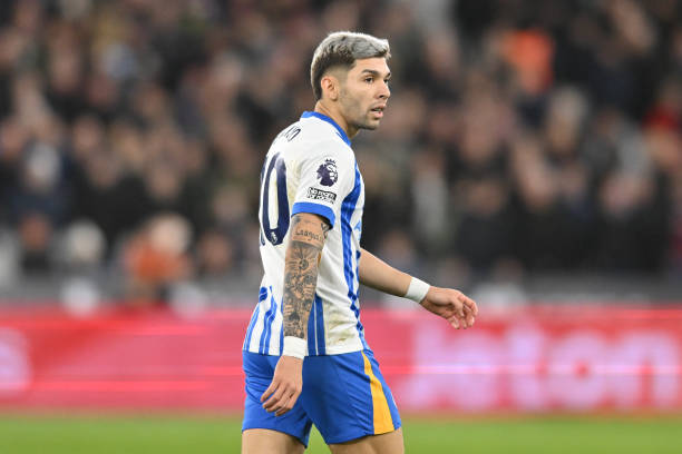 高价出售青 高价出售青